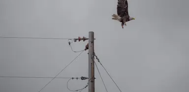 Utility Service Installations service